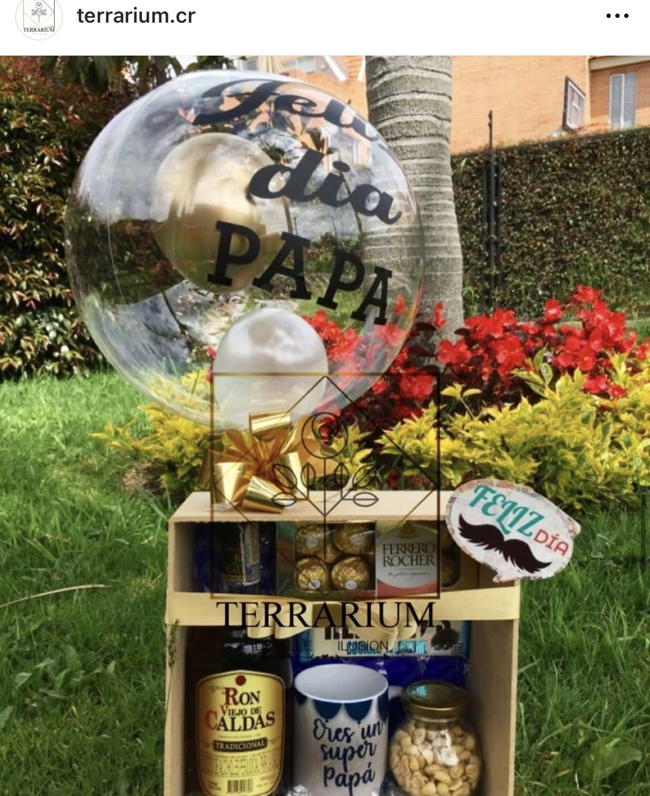 Detalle Terrarium 2
